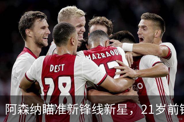 阿森纳瞄准新锋线新星，21岁前锋在意甲狂轰7球
